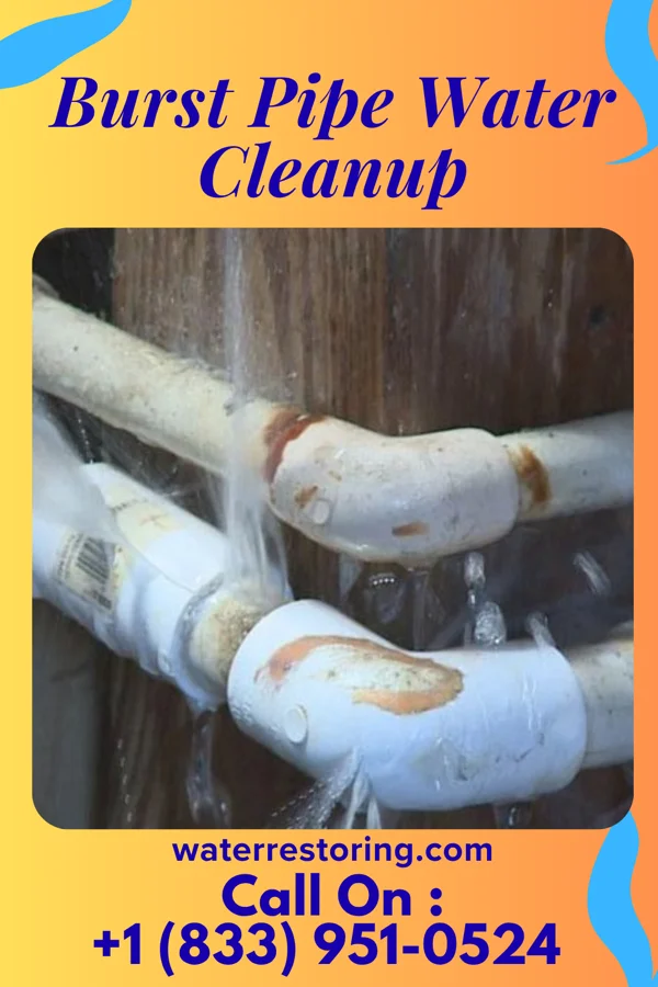 Burst Pipe Water Cleanup in New Carlisle, OH