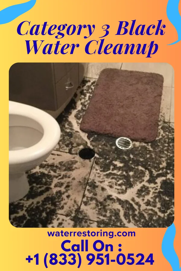 Category 3 Black Water Cleanup in New Carlisle, OH