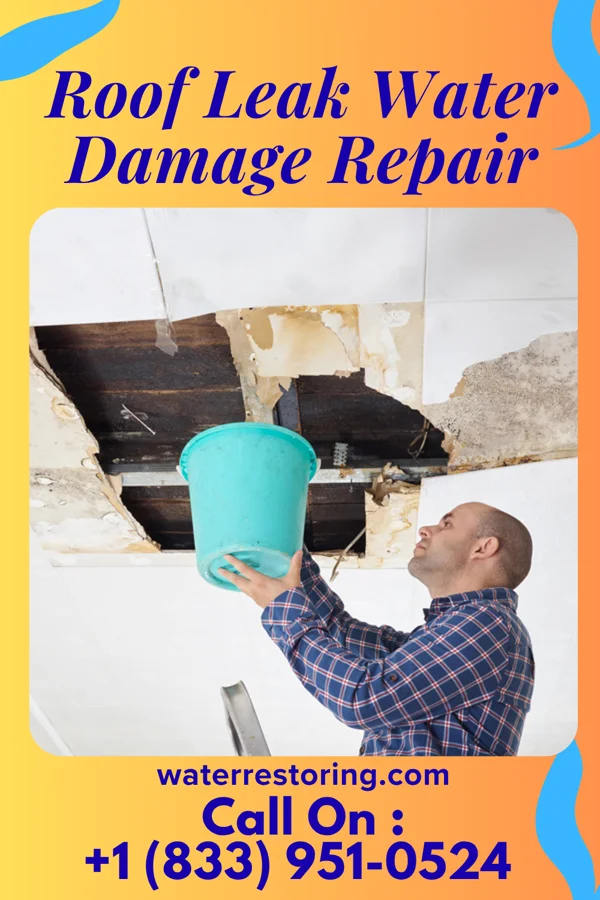 Roof Leak Water Damage Repair in New Carlisle, OH