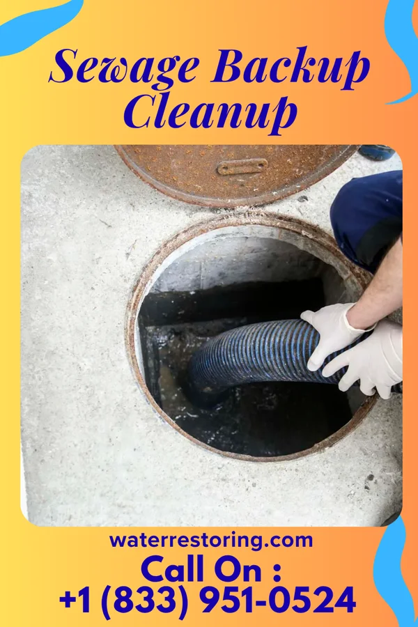 Sewage Backup Cleanup in New Carlisle, OH