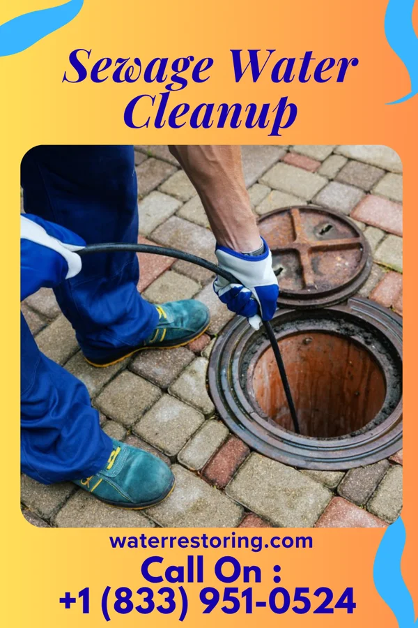 Sewage Water Cleanup in New Carlisle, OH