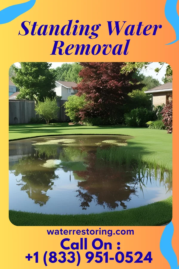 Standing Water Removal in New Carlisle, OH
